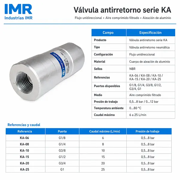Check Neumático