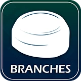 Branches